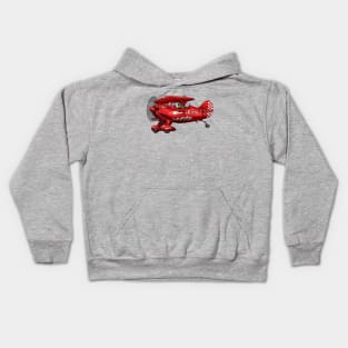 Aerobatics Pitts Kids Hoodie